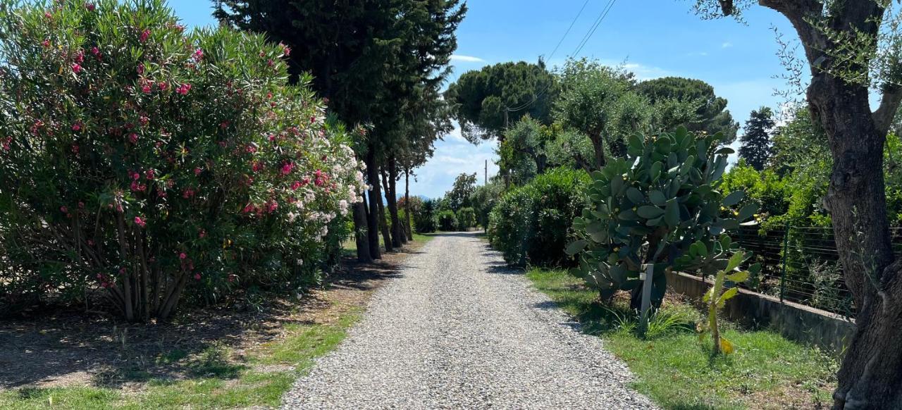 Masseria Brica Rossa Villa Thurii ภายนอก รูปภาพ